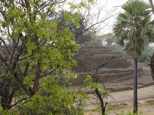 Bodhgaya • Sujata Stupa ( India, Bihar )
